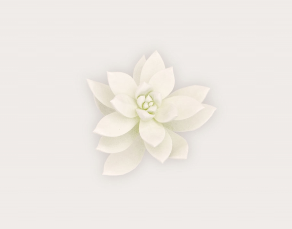 Photograph Rich Hendry White On White 2 on One Eyeland
